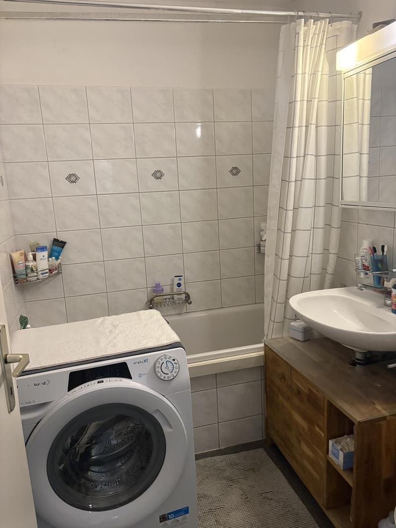 Grosszügige Wohnung an zentraler Lage (6)
