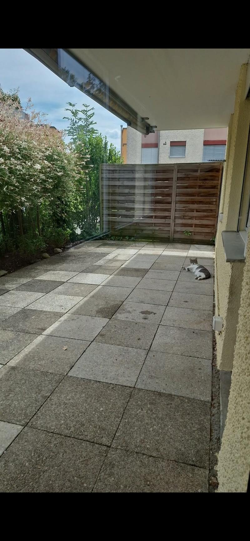 Nachmieter gesucht 4.5-Zimmer-Wohnung in Hombrechtikon (4)