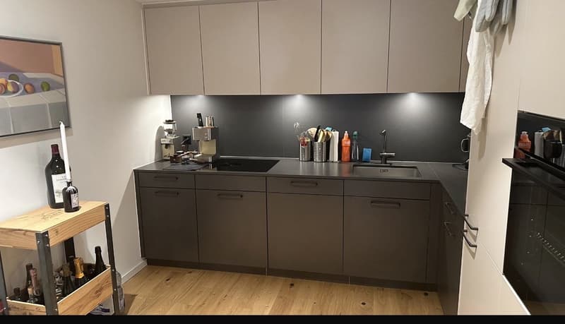 Apartment in Küsnacht ZH (3)