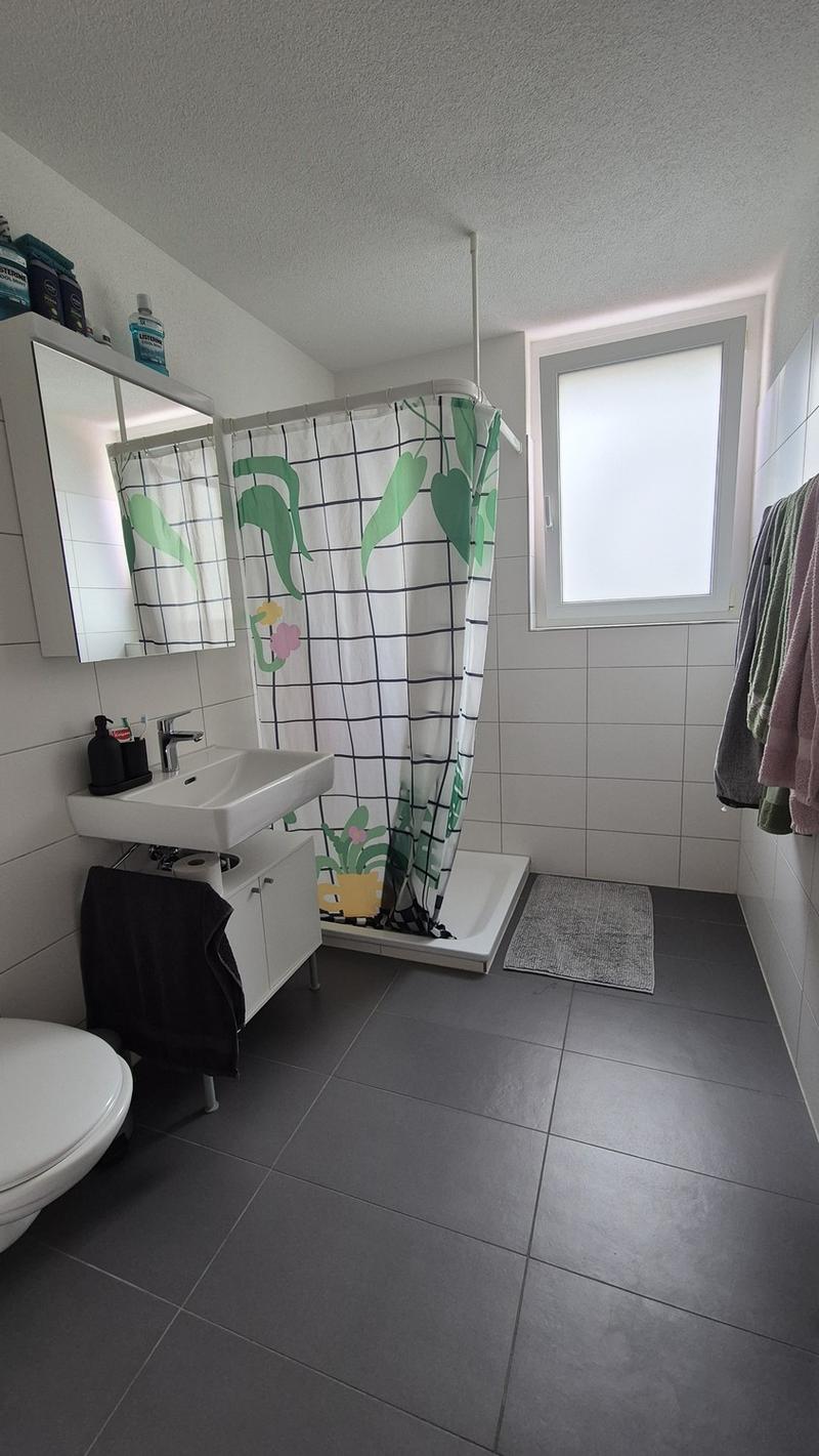 Grosse Moderne 3.5-Zimmer Wohnung (6)