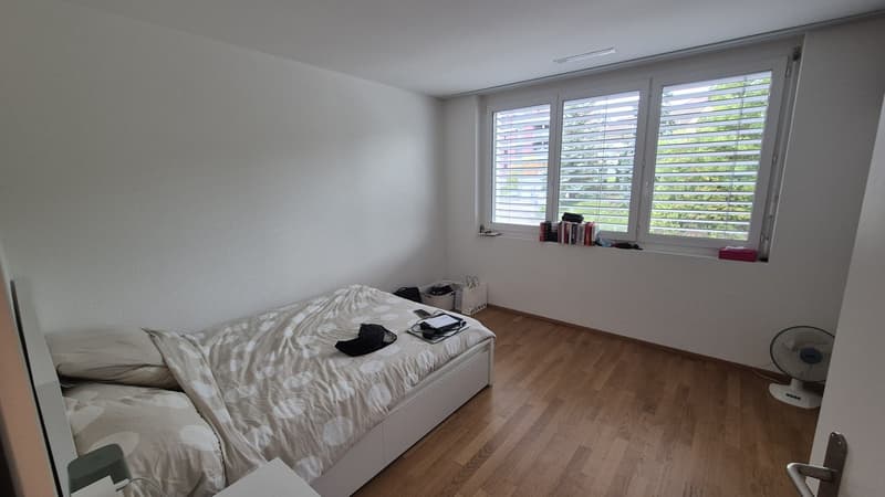Grosse Moderne 3.5-Zimmer Wohnung (3)
