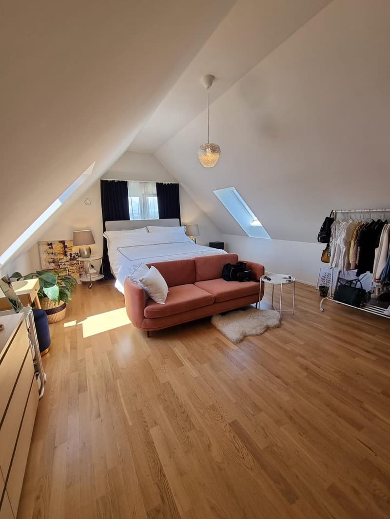 grosses WG-Zimmer (1)