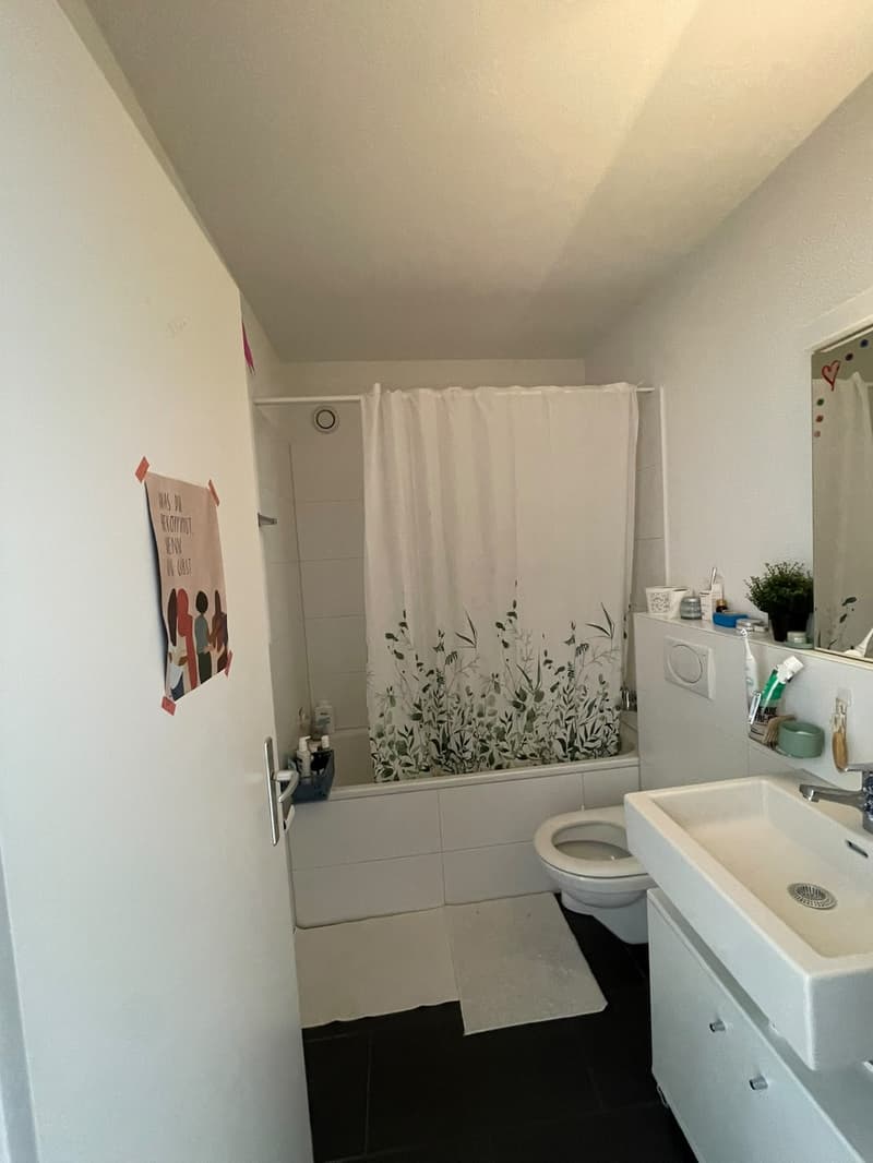 Wunderschöne 3.5 Zimmer- Wohnung ab dem 1.12.2026 zu vermieten (1543.- inkl. NK) (8)