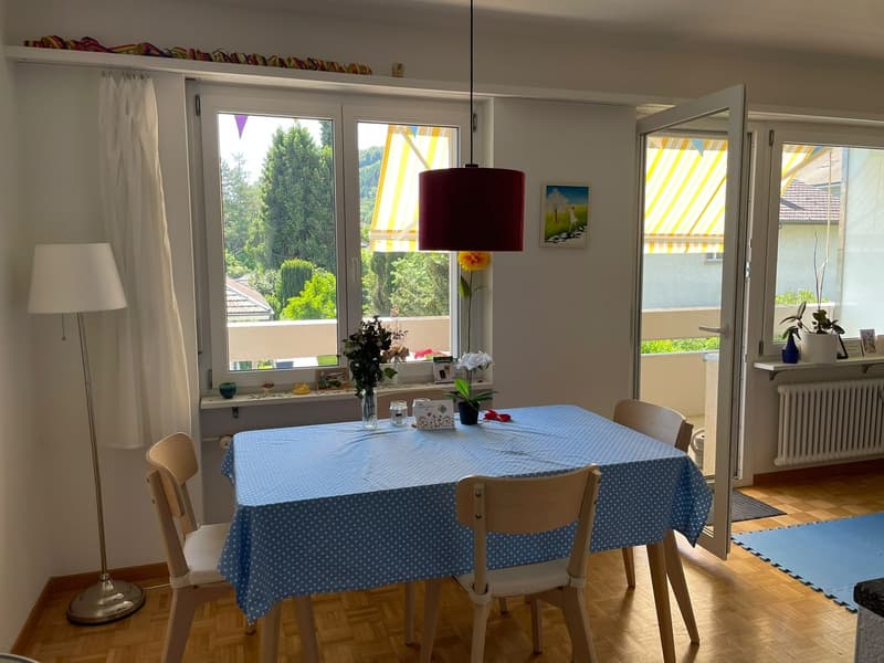 Wunderschöne 3.5 Zimmer- Wohnung ab dem 1.12.2026 zu vermieten (1543.- inkl. NK) (1)