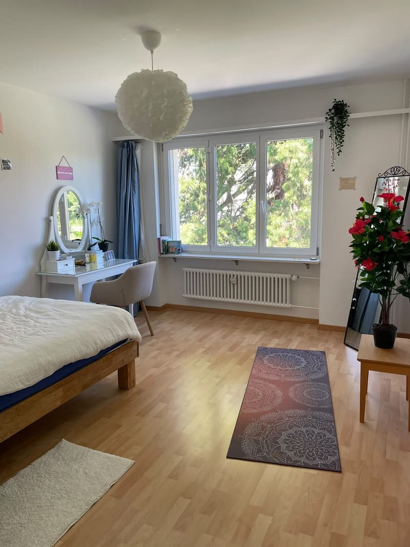 Wunderschöne 3.5 Zimmer- Wohnung ab dem 1.12.2026 zu vermieten (1543.- inkl. NK) (4)