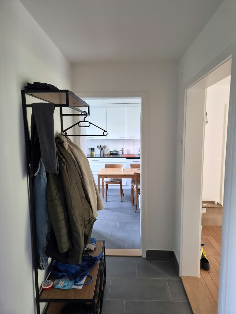 WG Zimmer, 8400 Winterthur (4)
