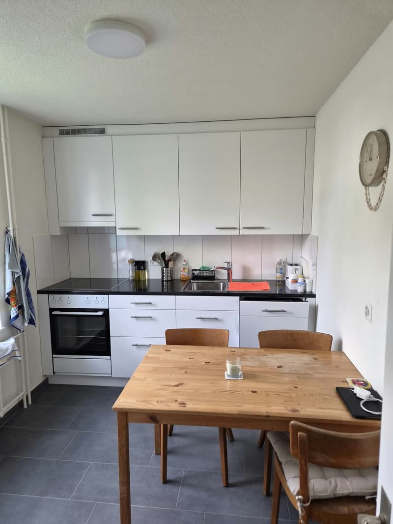 WG Zimmer, 8400 Winterthur (5)