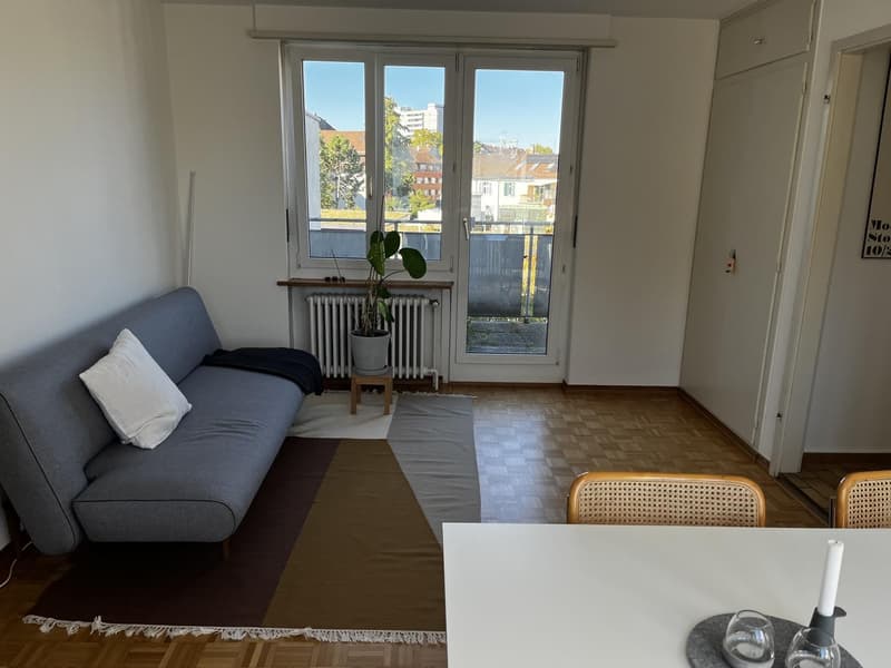 Sehr helle, möblierte 2-Zimmer-Wohnung mit zwei Terrassen beim Spalentor, 1. Januar bis 30. September 2027 (3)