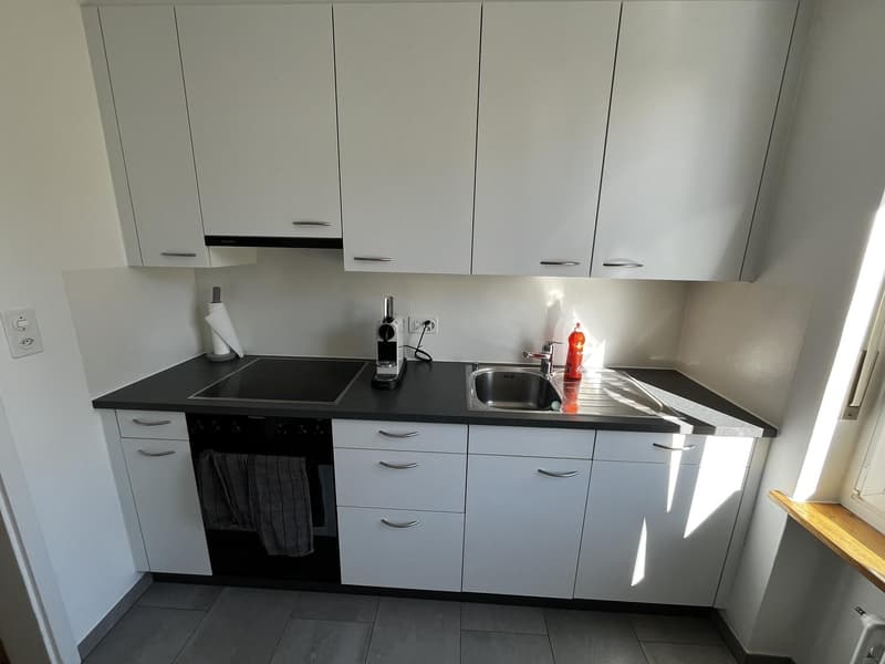 Sehr helle, möblierte 2-Zimmer-Wohnung mit zwei Terrassen beim Spalentor, 1. Januar bis 30. September 2027 (8)