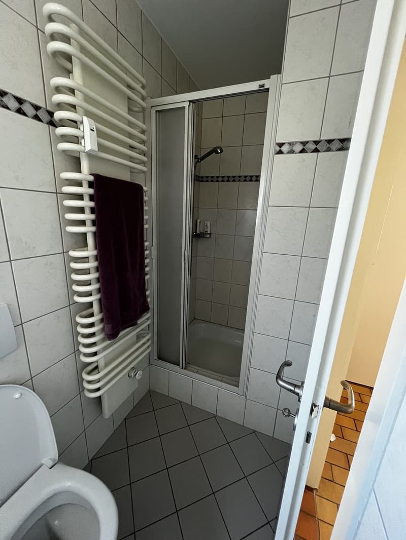 Sehr helle, möblierte 2-Zimmer-Wohnung mit zwei Terrassen beim Spalentor, 1. Januar bis 30. September 2027 (11)