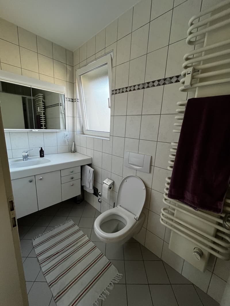Sehr helle, möblierte 2-Zimmer-Wohnung mit zwei Terrassen beim Spalentor, 1. Januar bis 30. September 2027 (10)