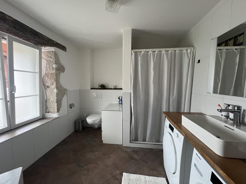 Grosszügige 5,5 Zimmer Wohnung (5)