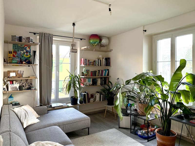 Appartement 3.5 pièces calme et lumineux (1)