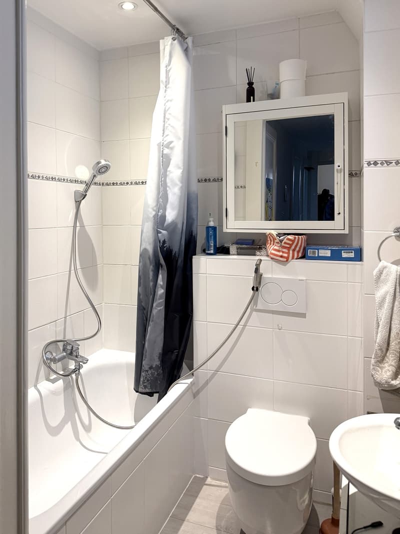 Appartement 3.5 pièces calme et lumineux (6)