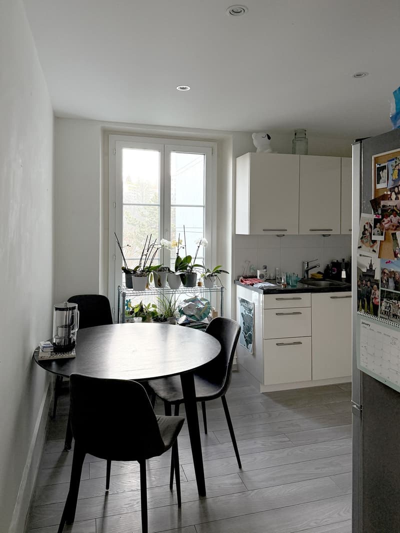 Appartement 3.5 pièces calme et lumineux (2)