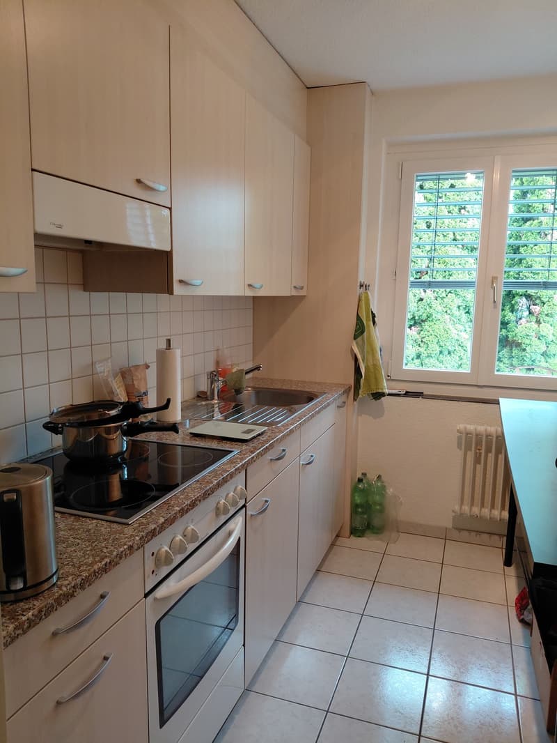 3.5-Zimmer-Wohnung in Unterwetzikon (6)