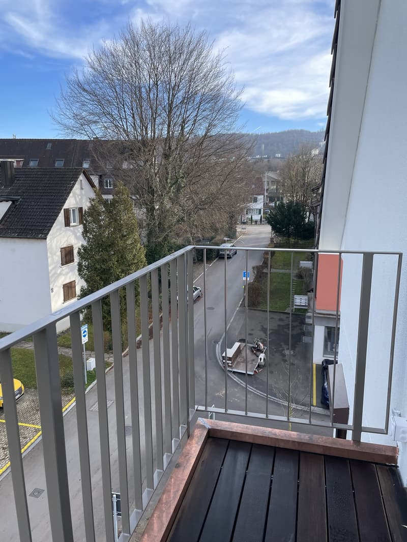 Furnished studio in Unterstrass, sublet October to March (flexible dates) (6)
