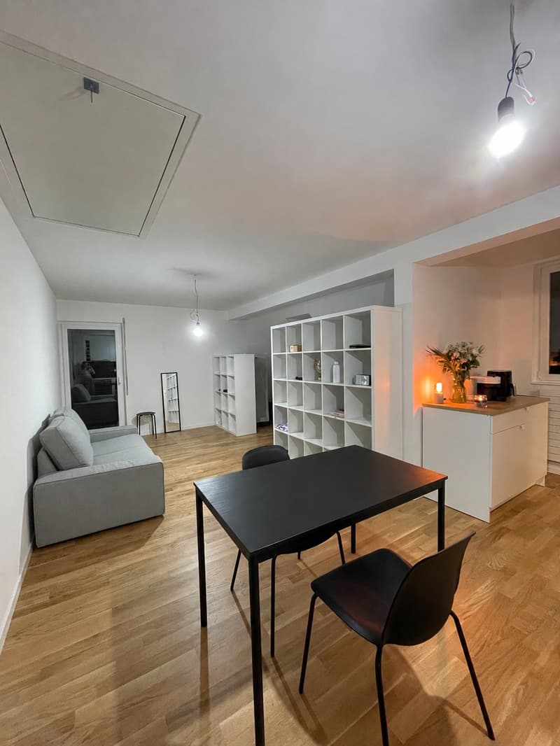 Furnished studio in Unterstrass, sublet October to March (flexible dates) (1)