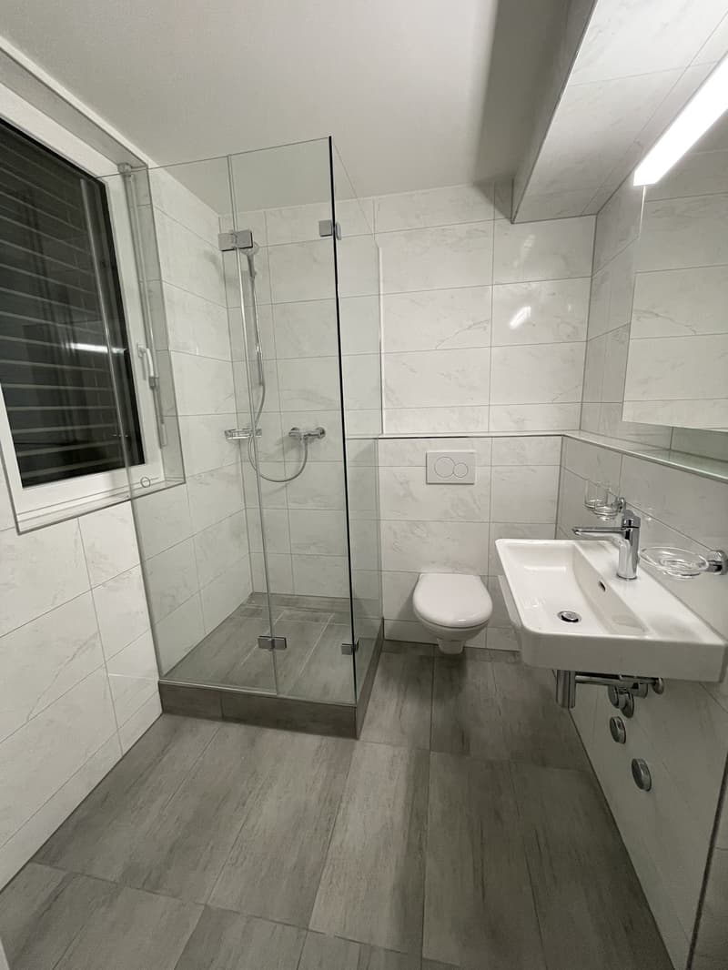 Furnished studio in Unterstrass, sublet October to March (flexible dates) (3)