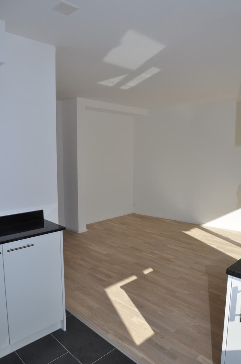 1.5 Zimmerwohnung, 8038 Wollishofen (1)