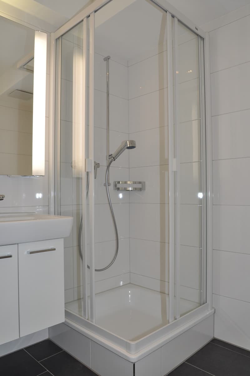 1.5 Zimmerwohnung, 8038 Wollishofen (3)
