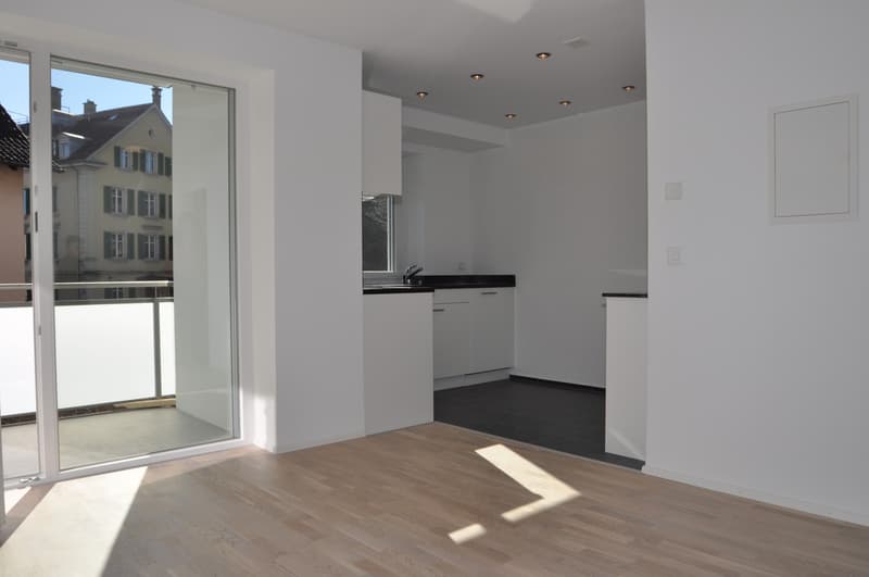 1.5 Zimmerwohnung, 8038 Wollishofen (5)