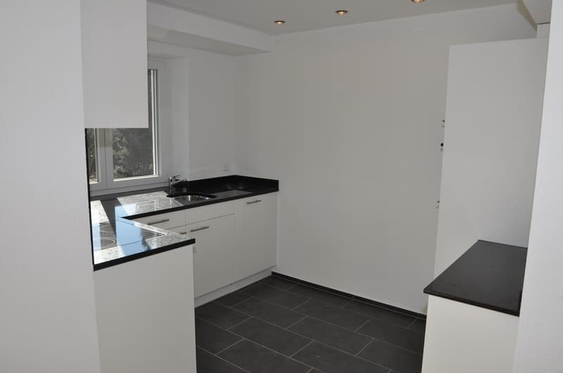 1.5 Zimmerwohnung, 8038 Wollishofen (4)