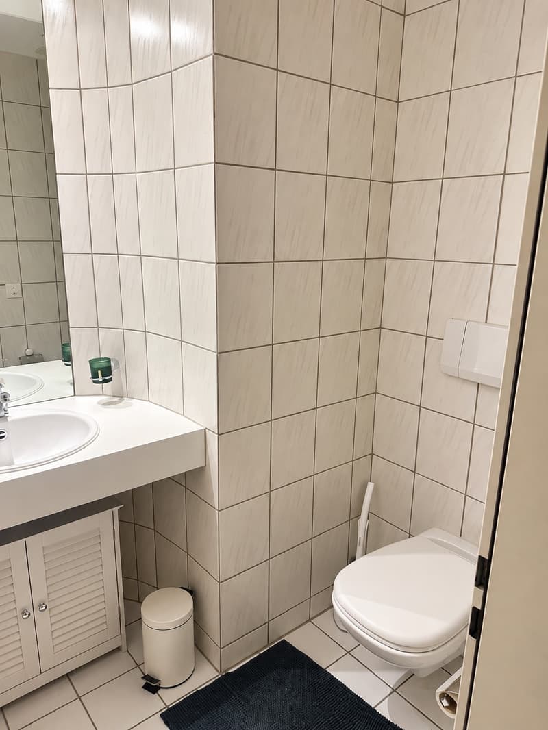 Helle 2.5-Zimmer-Wohnung im Herzen von Luzern zu vermieten! (3)
