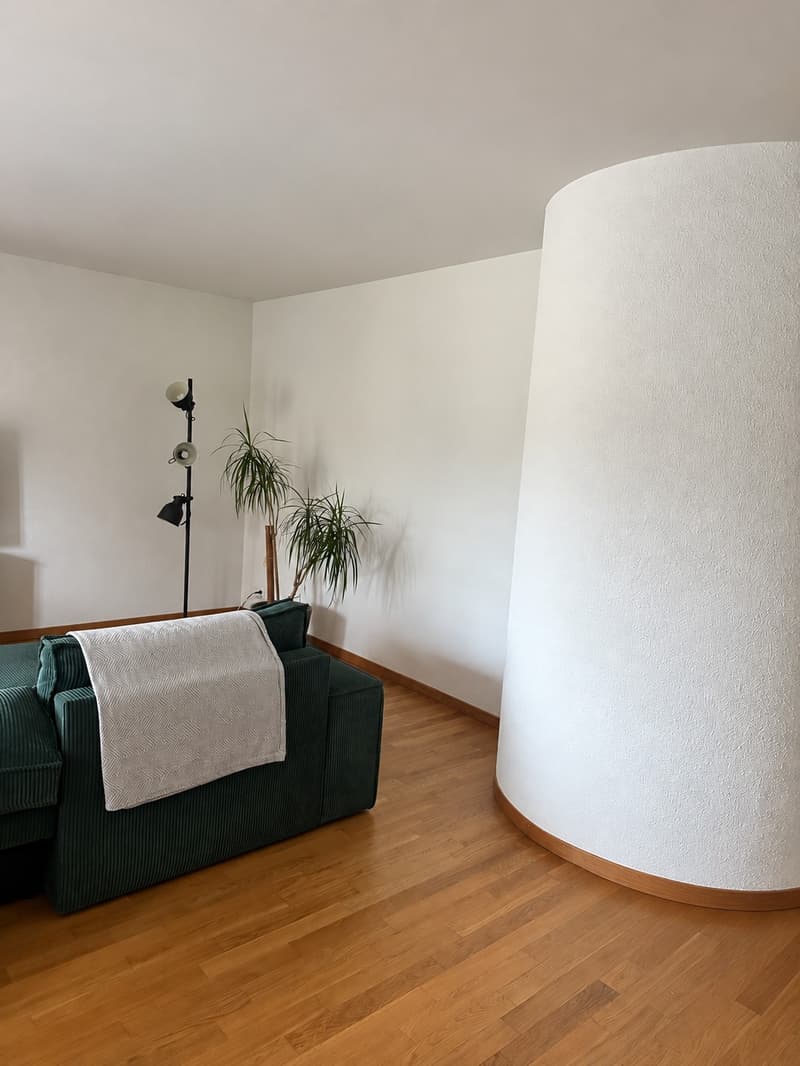 Helle 2.5-Zimmer-Wohnung im Herzen von Luzern zu vermieten! (8)