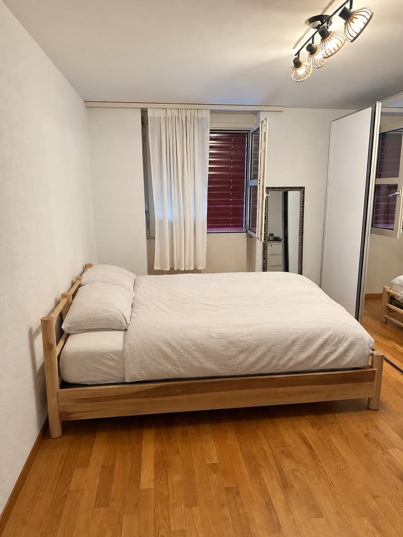 Helle 2.5-Zimmer-Wohnung im Herzen von Luzern zu vermieten! (5)
