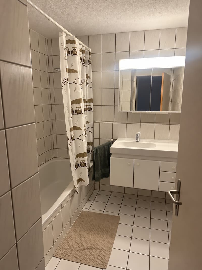 Helle 2.5-Zimmer-Wohnung im Herzen von Luzern zu vermieten! (2)