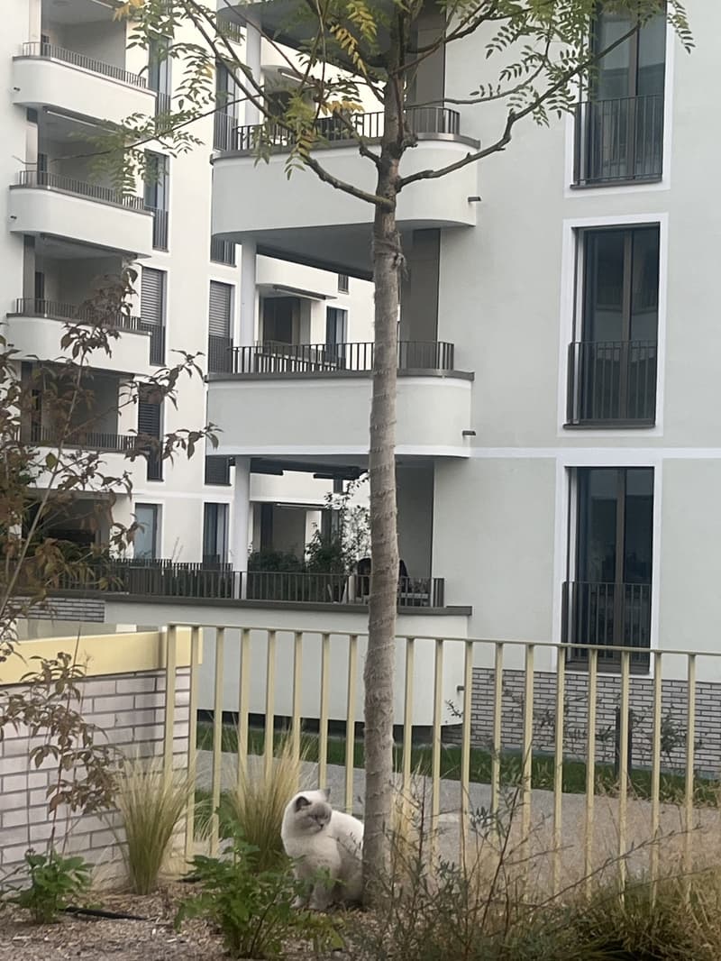 Magnifique appartement 4 1/2 avec 64 m2 de terrasse (3)
