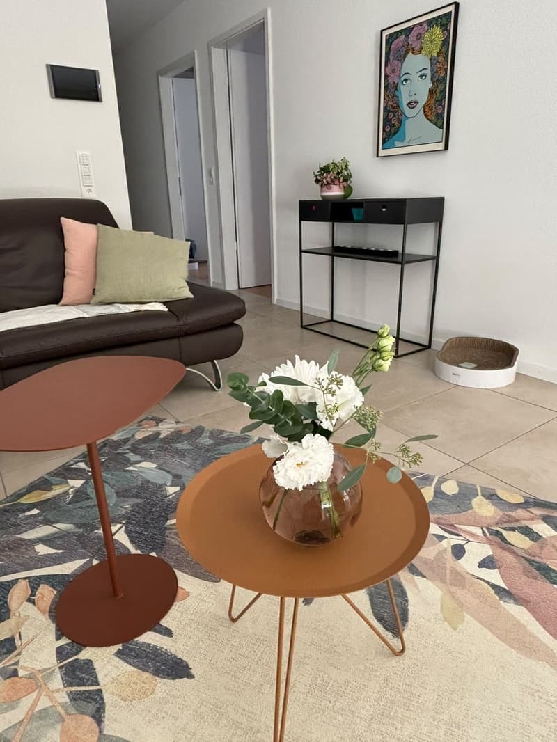 Magnifique appartement 4 1/2 avec 64 m2 de terrasse (5)