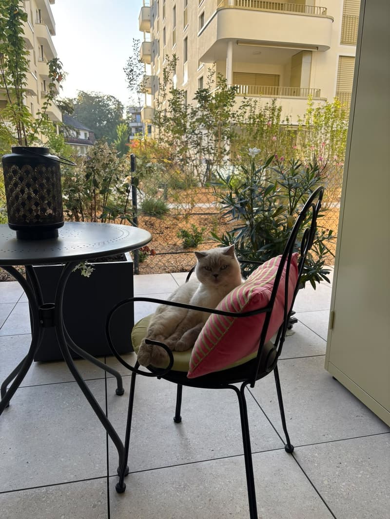 Magnifique appartement 4 1/2 avec 64 m2 de terrasse (6)