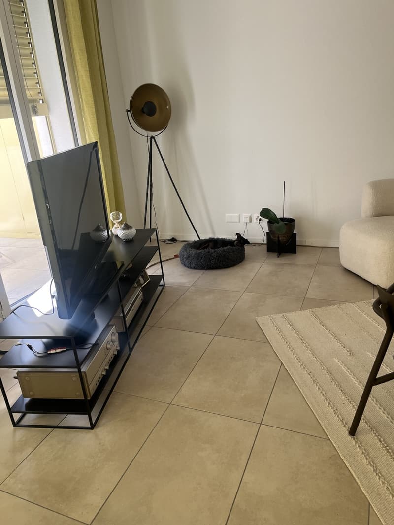 Magnifique appartement 4 1/2 avec 64 m2 de terrasse (1)