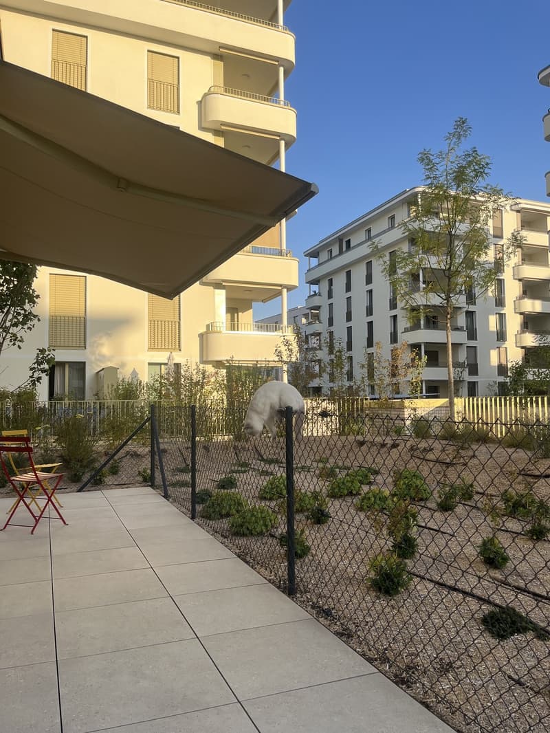 Magnifique appartement 4 1/2 avec 64 m2 de terrasse (7)