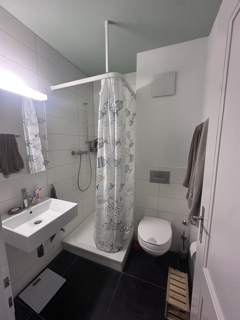 1-Zimmer Wohnung zur Nachmiete (7)
