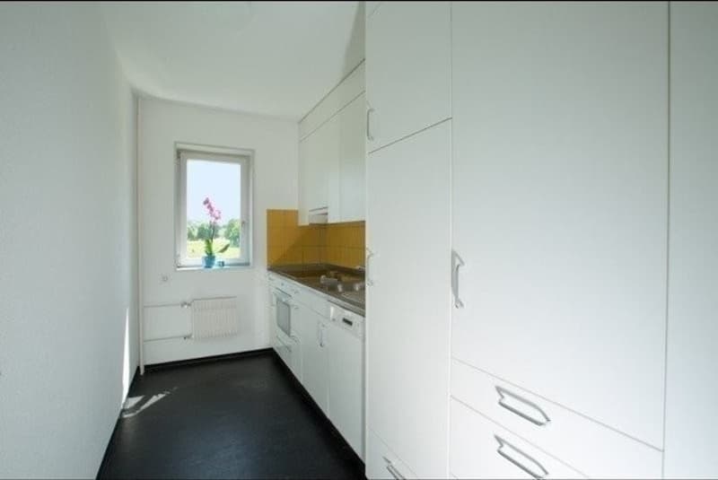 Mitbewohner/in (3)