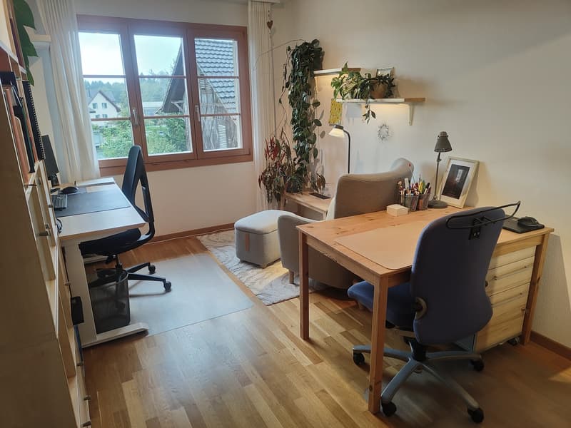 Nachmieter/in gesucht  3.5-Zimmer-Wohnung ab 1. November 2026 (6)