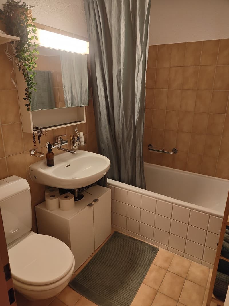 Nachmieter/in gesucht  3.5-Zimmer-Wohnung ab 1. November 2026 (3)