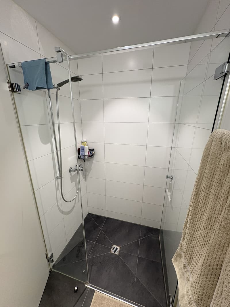 4.5-Zimmer-Wohnung mit Gartensitzplatz am Fusse des Uetlibergs (7)