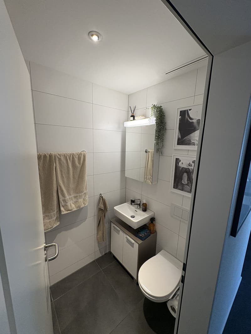 4.5-Zimmer-Wohnung mit Gartensitzplatz am Fusse des Uetlibergs (6)