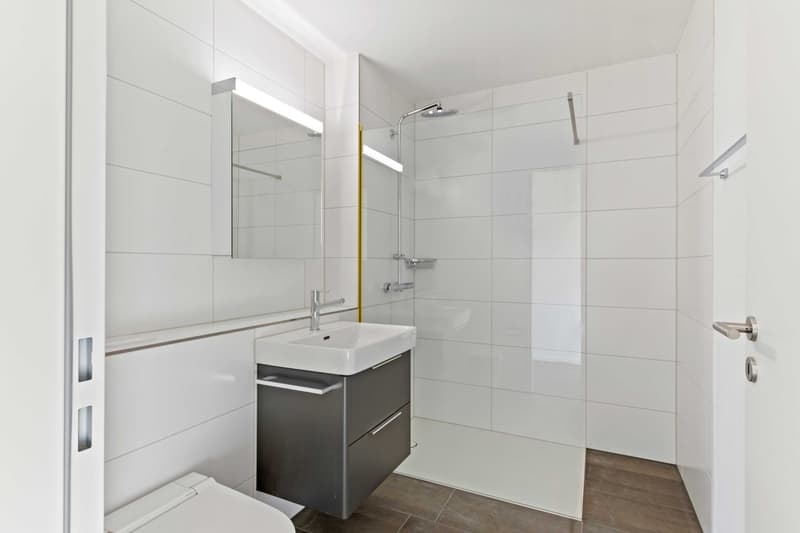 Moderne 2.5-Zimmer-Wohnung in Rüti ZH zu vermieten (3)