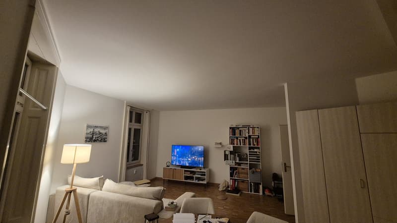 2.5 Zimmer - 55 m2 Wohnung - möbliert zur Untermiete im Gundeli (4)