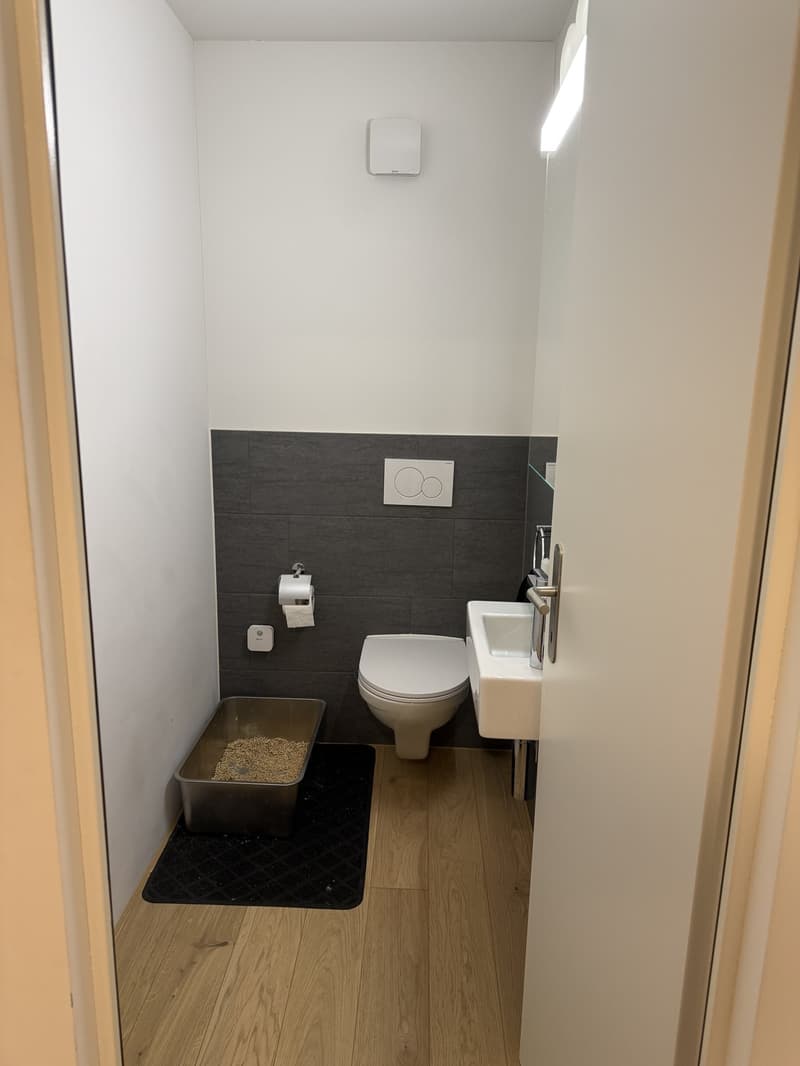 Helle 4.5-Zimmerwohnung mit riesigem Balkon in Wolhusen (10)