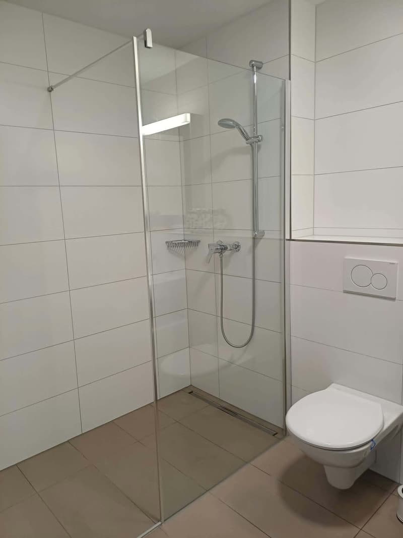 3 ½ Zimmer-Wohnung, 5734 Reinach AG (6)