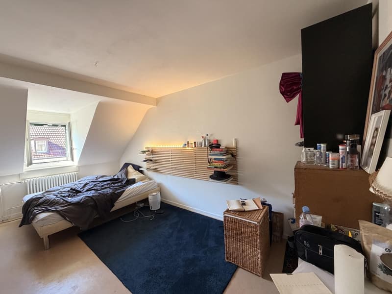 Student flat mate needed (1)