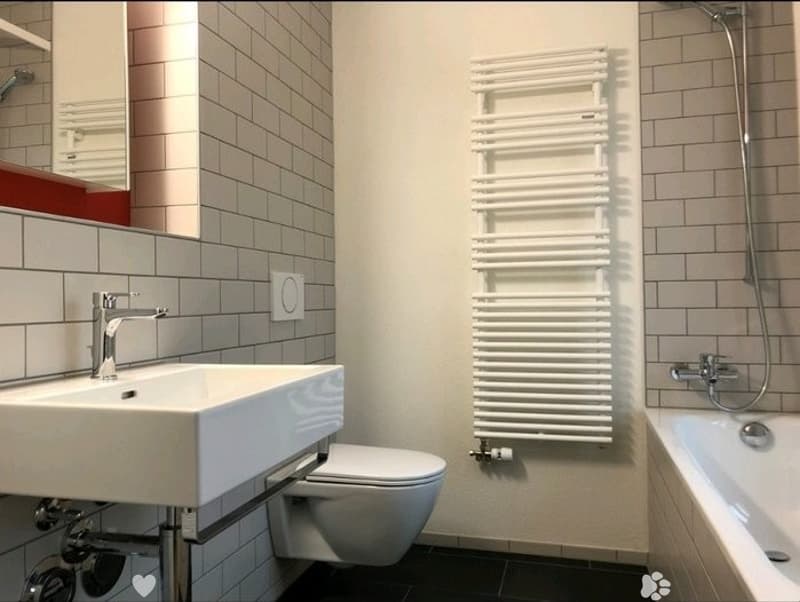 3.5 Zimmer Wohnung im Zentrum per Mitte Dezember oder Januar zu vermieten (4)