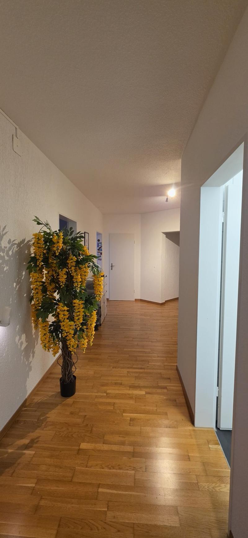 WG-Zimmer zu vermieten (7)