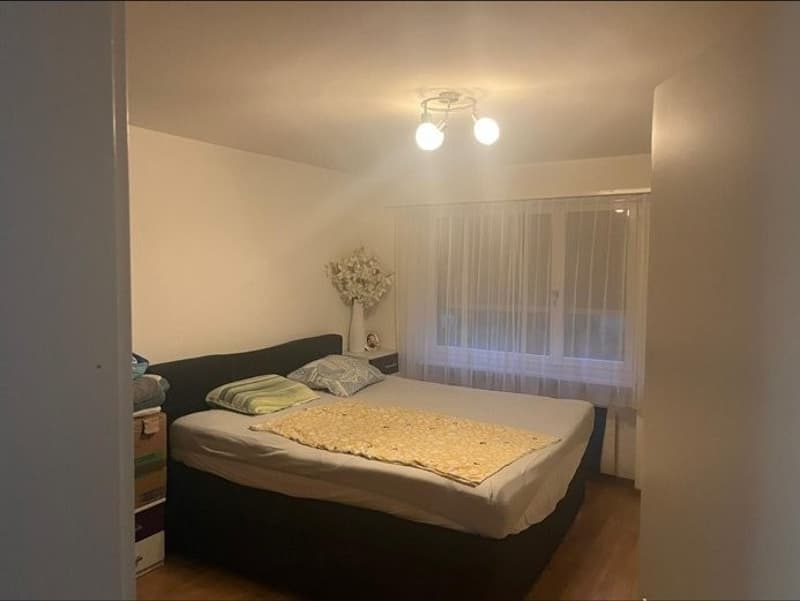 Nachmieter für schöne 2 1/2 Zimmer Wohnung gesucht (4)